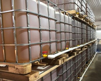 Edible Oil