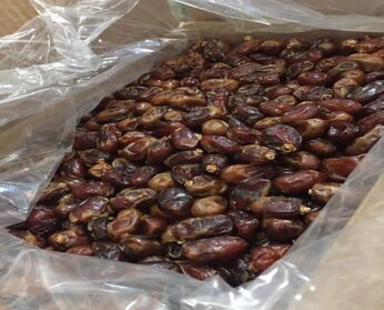 Used Cooked Oil