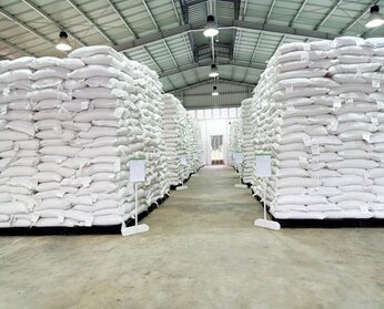Grains